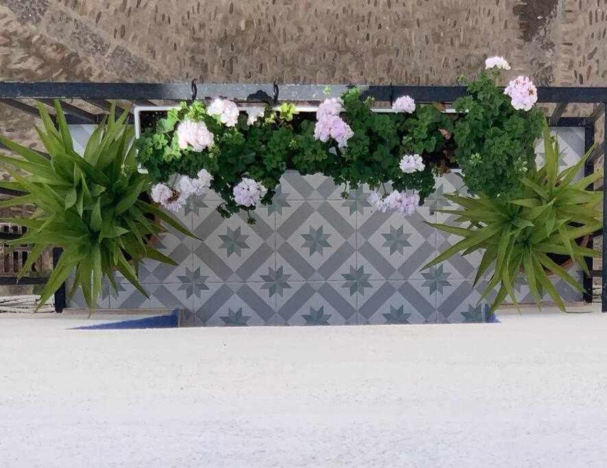 Casa Terrae Casco Antiguo Wifiaa Lägenhet Peñíscola Exteriör bild